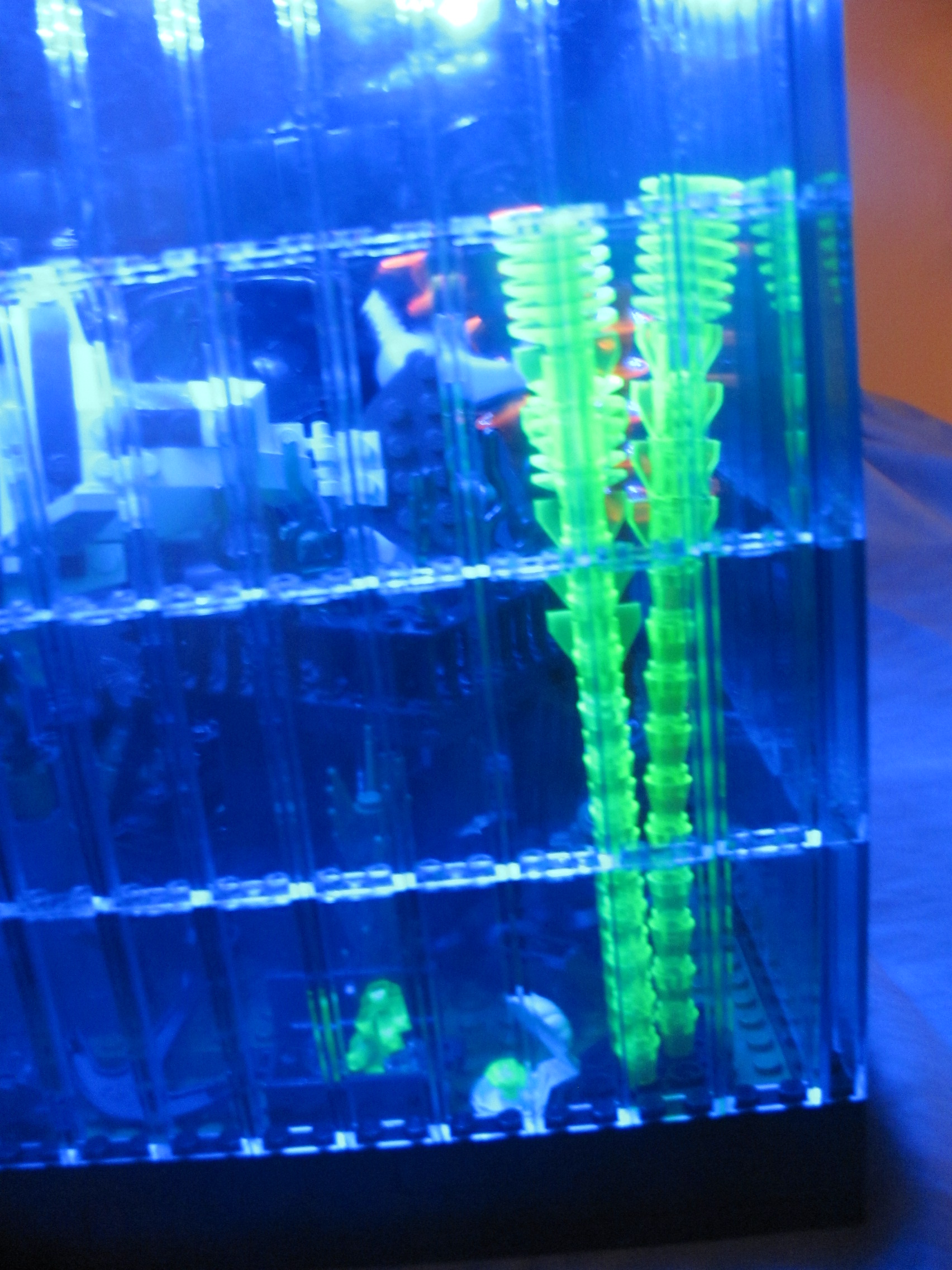 fish_tank_053.jpg