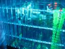 fish_tank_036.jpg