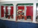 surrey_museum_2008_053.jpg