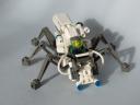 spider01.jpg