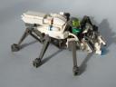 spider02.jpg