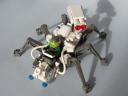 spider03.jpg