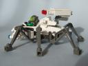 spider04.jpg