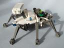 spider05.jpg
