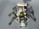 spider07.jpg