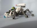 spider08.jpg