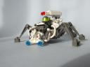 spider09.jpg