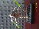 lego_040.jpg