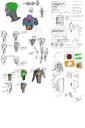 wholebunchofbioniclestuffs.png