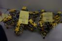 mindstorms-room-04.jpg