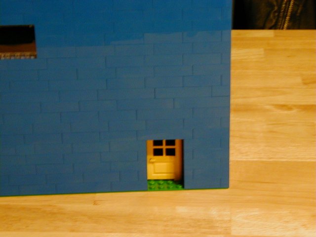 blue-and-tan09.jpg