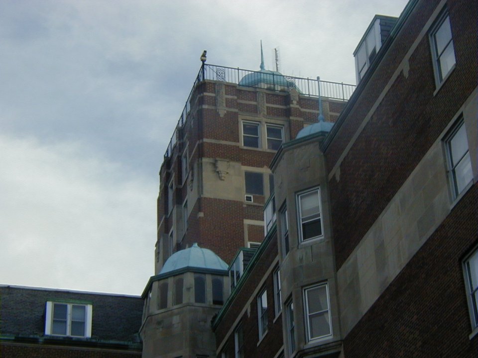 whitcomb11.jpg