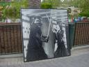 disneyland_059.jpg