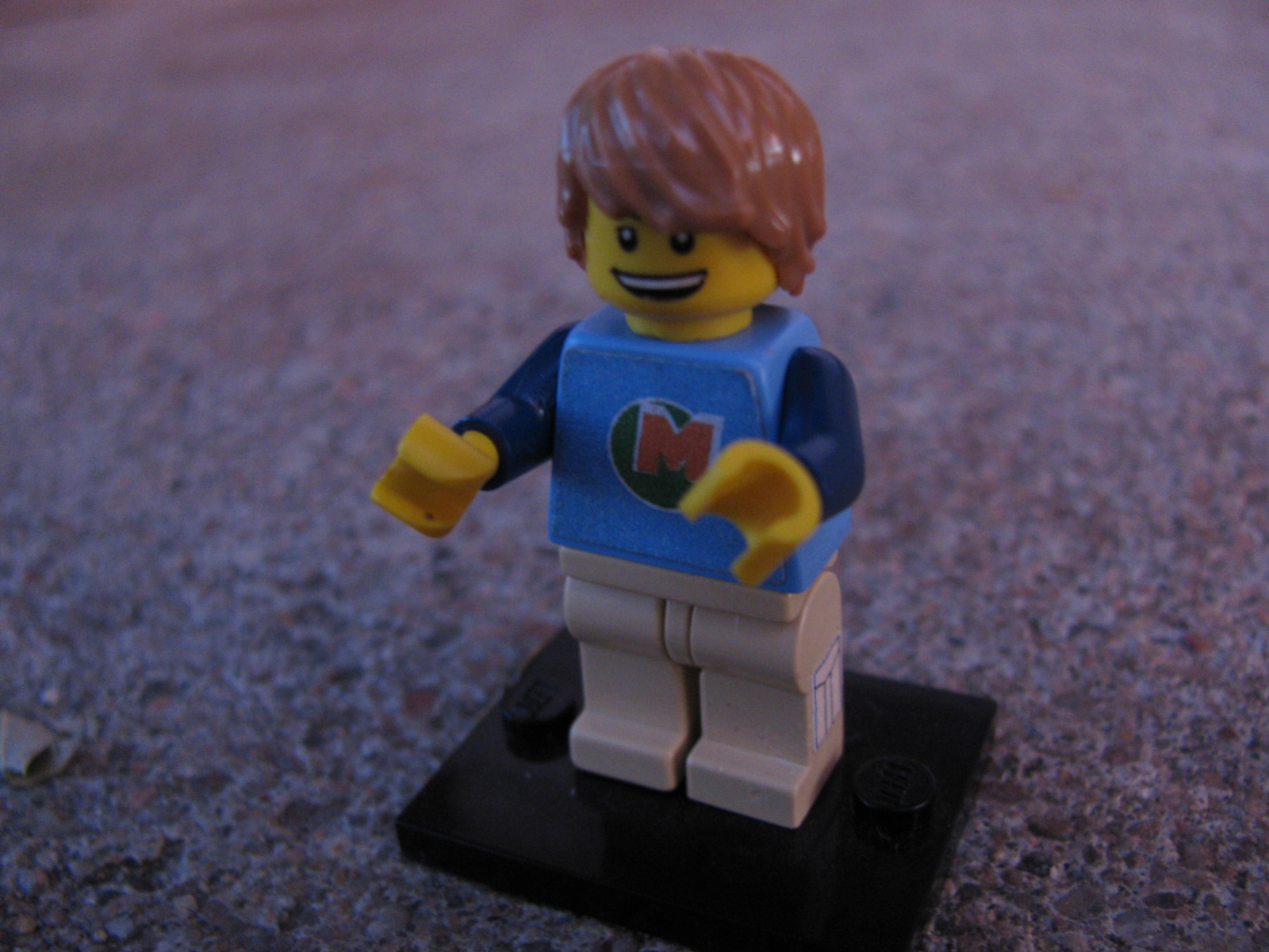 max_001.jpg