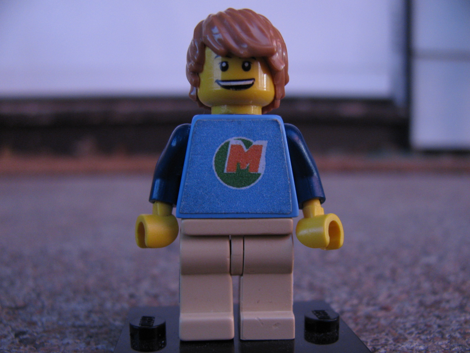 max_004.jpg