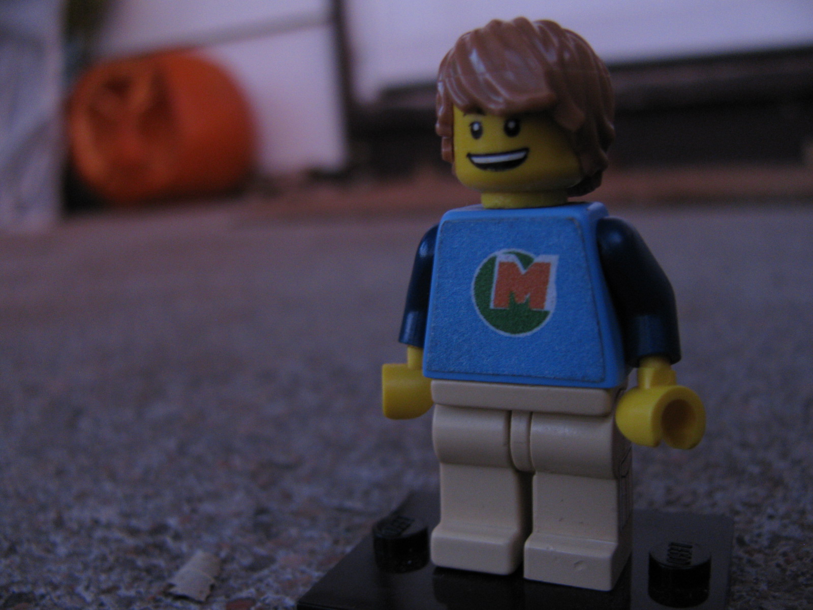 max_005.jpg