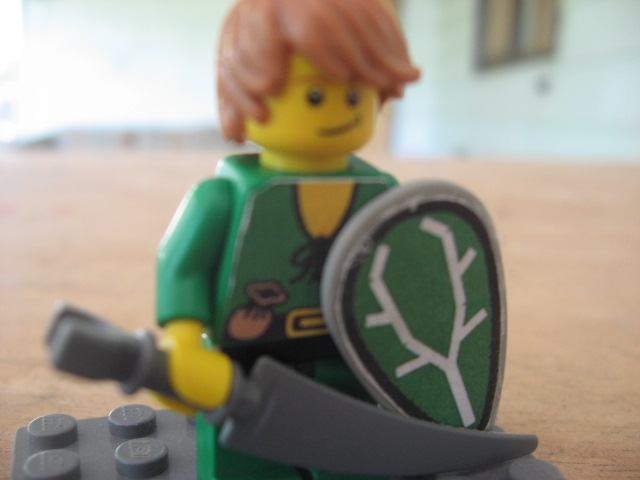 elf_002.jpg