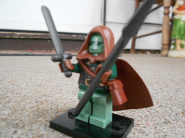 frog_warrior_002.jpg