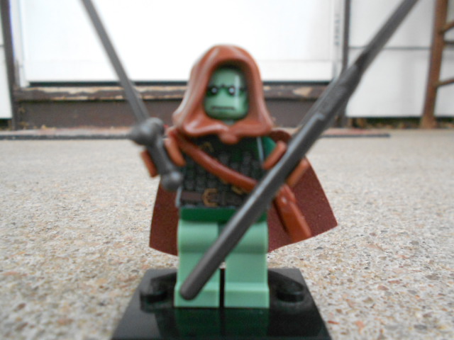 frog_warrior_003.jpg