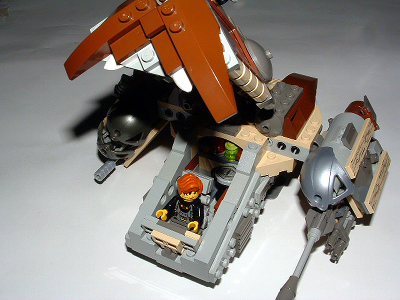 walrus09.jpg