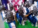 dsc00315.jpg