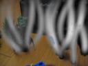 img_4246.jpg