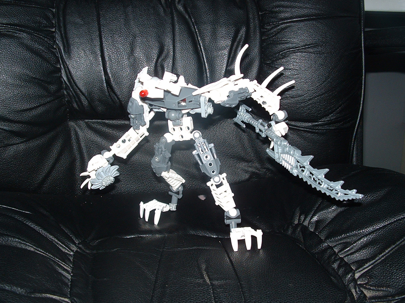 bone1.jpg