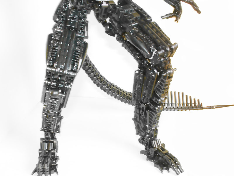 legs.jpg