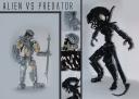 avp.jpg