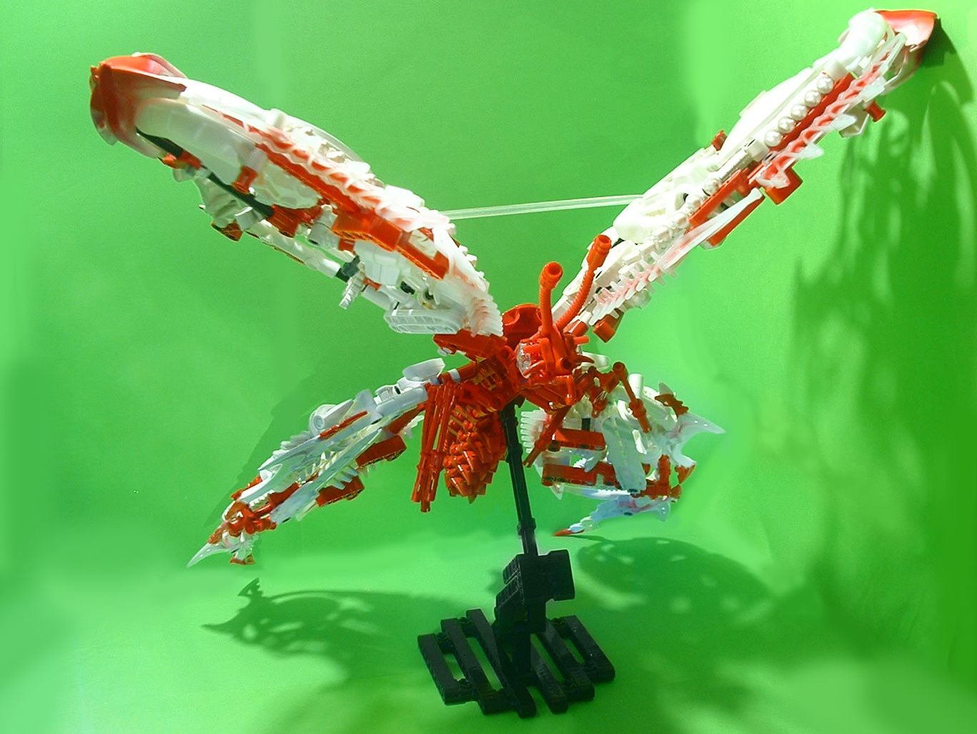 butterflyside.jpg