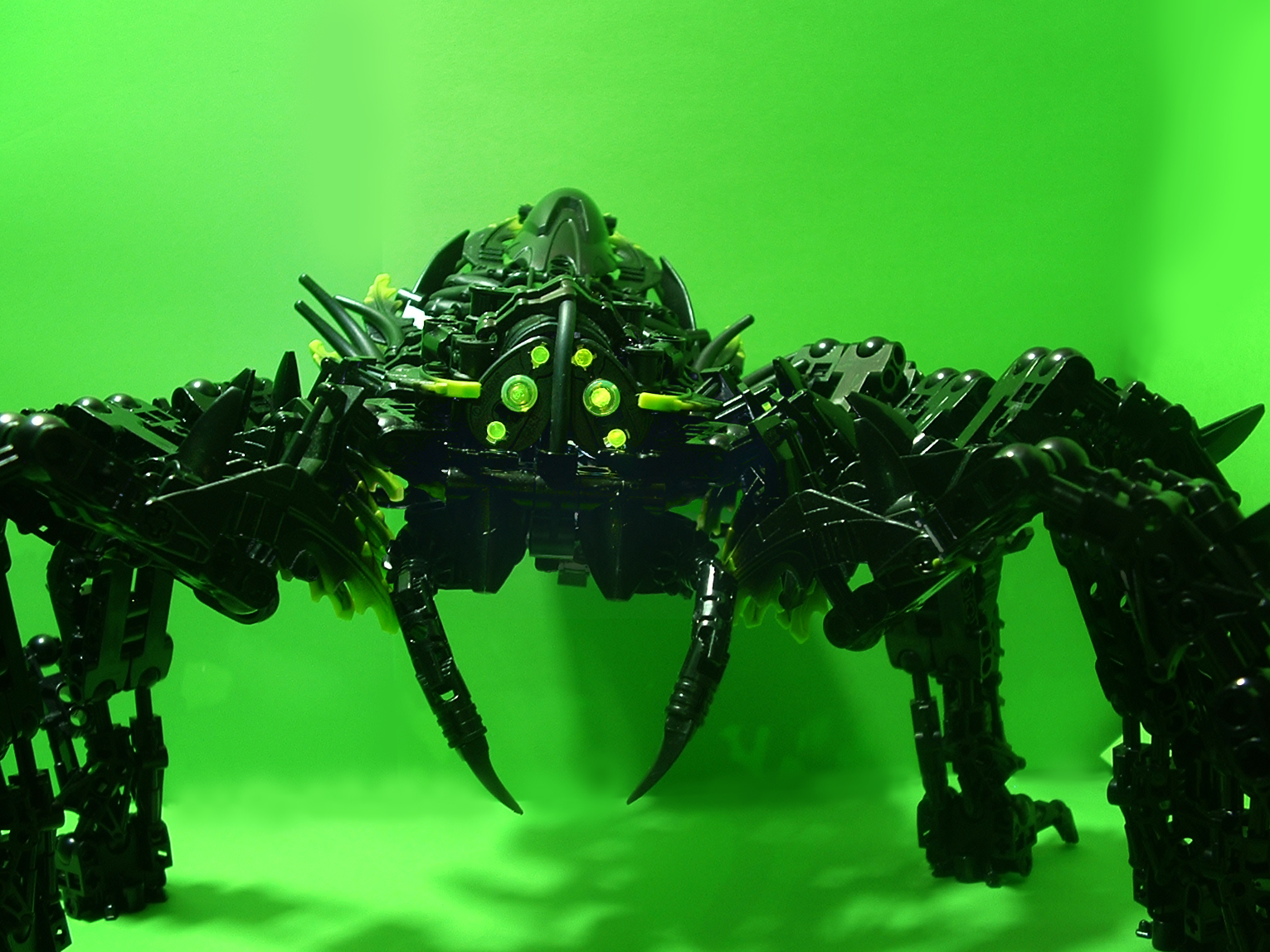 spiderfront.jpg