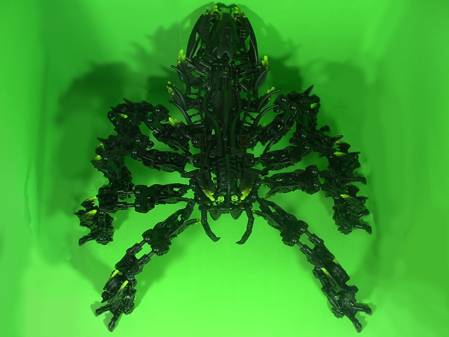 spidertop.jpg