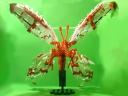 butterflyfront.jpg