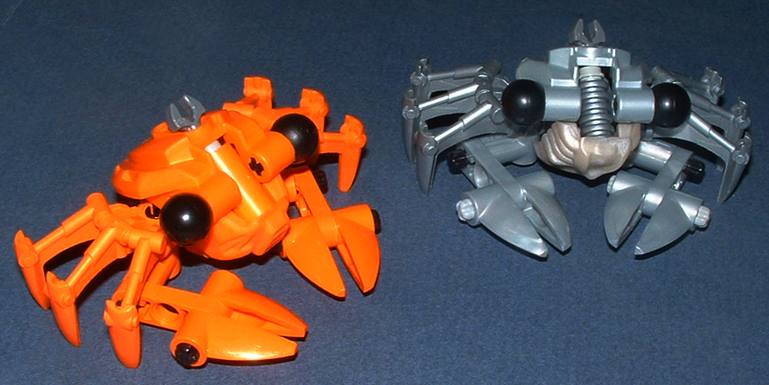 crabs.jpg