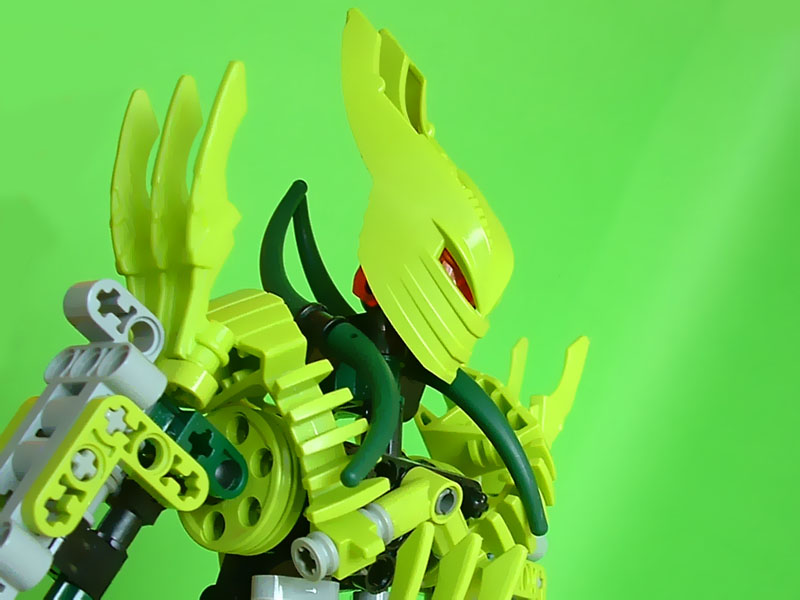 closeup.jpg