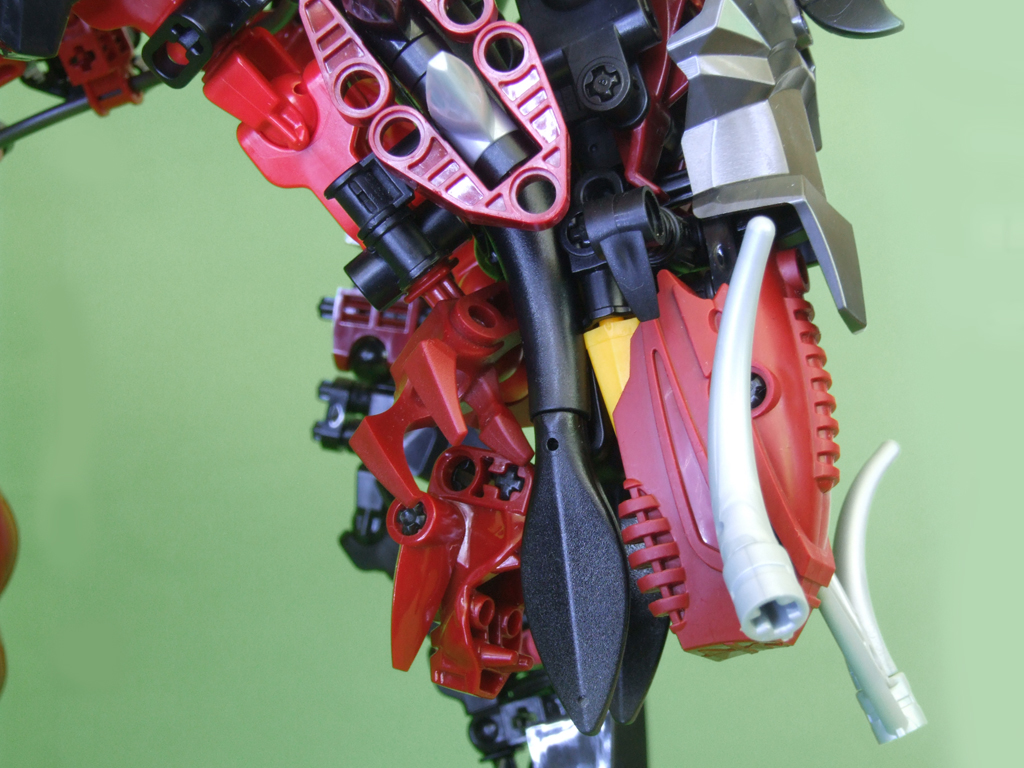 head.jpg