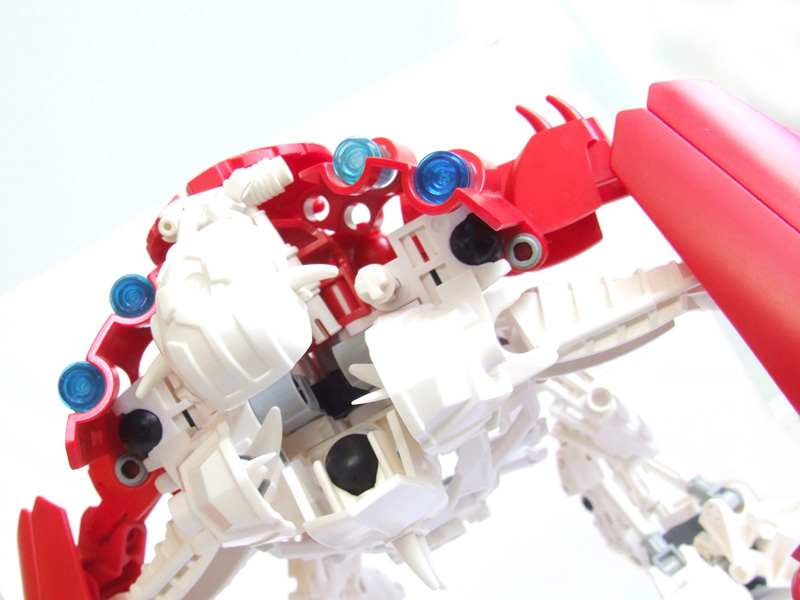 closeup.jpg