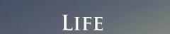 life.jpg
