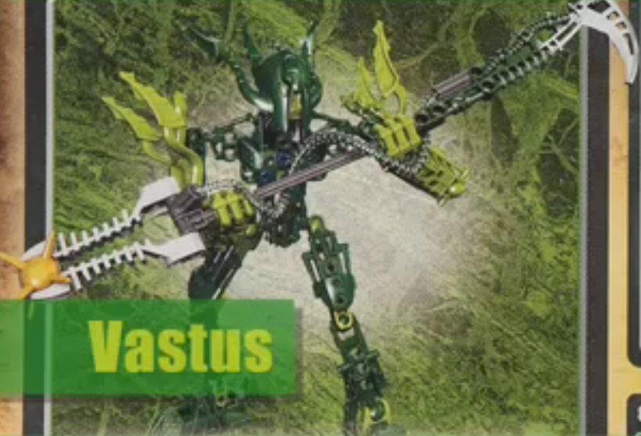 vastus.png