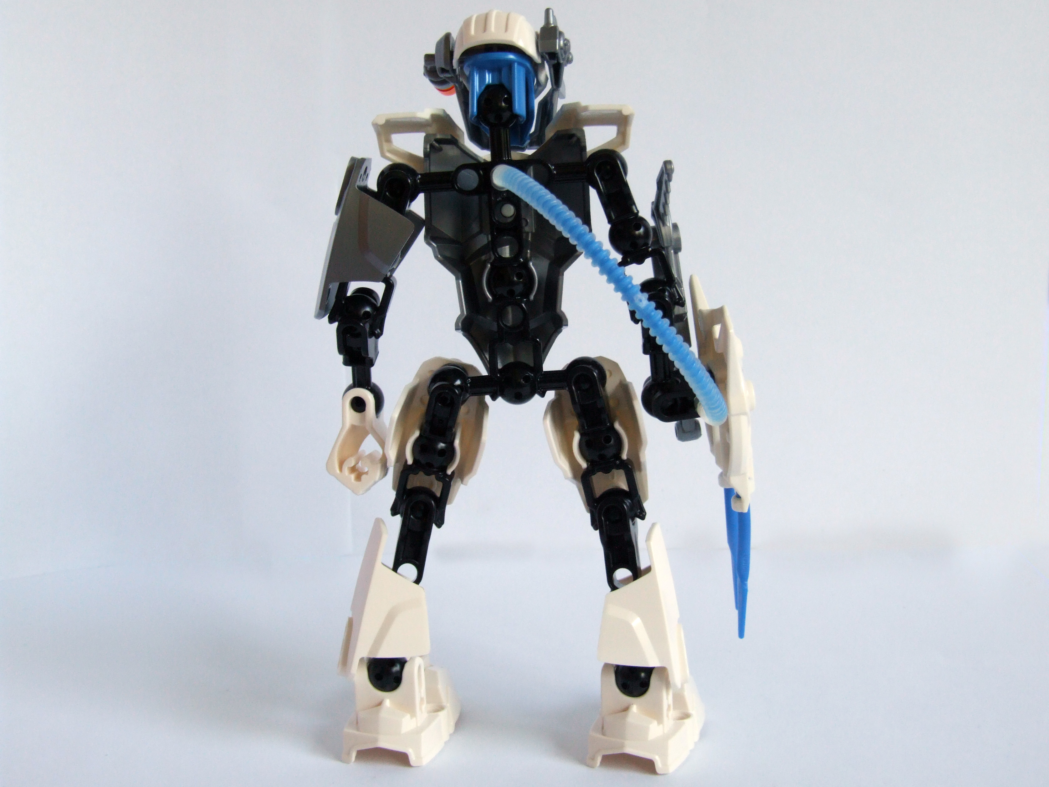 back.jpg