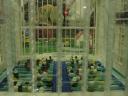 dsc01103.jpg