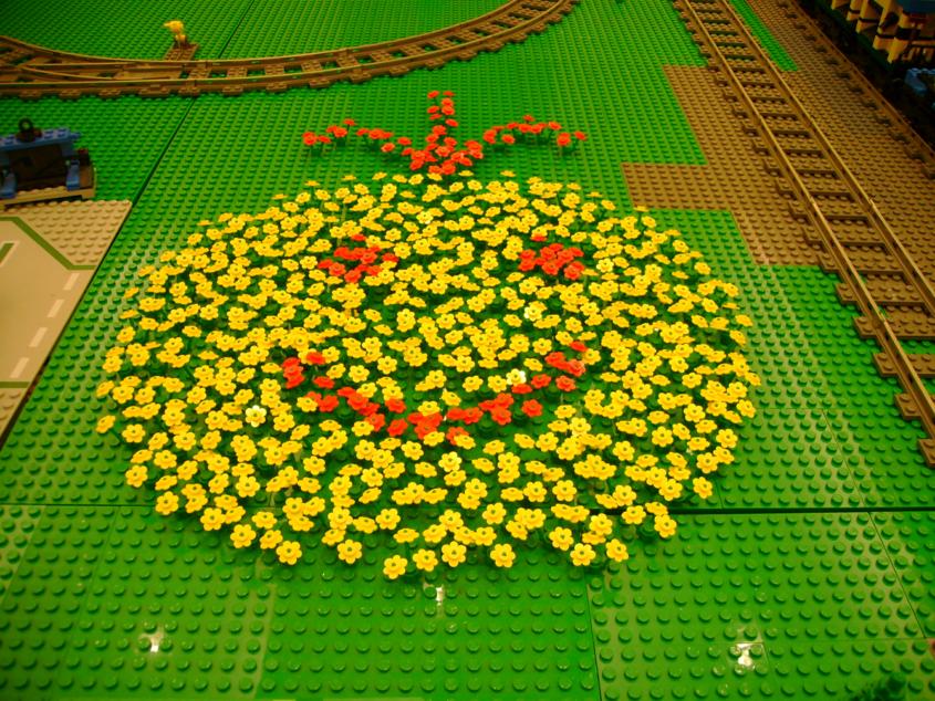 dsc00563_845x634.jpg