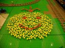 dsc00563_845x634.jpg