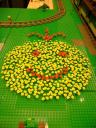 dsc00564_845x634.jpg