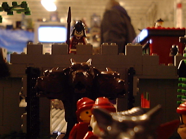 zdrm0003.jpg