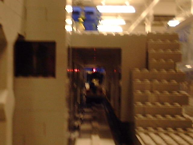 zdrm0047.jpg