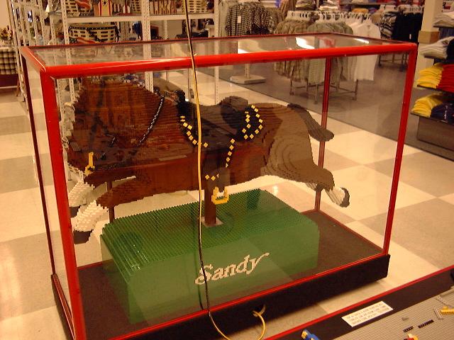 sandy-back.jpg