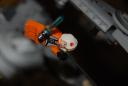 dsc_6790.jpg