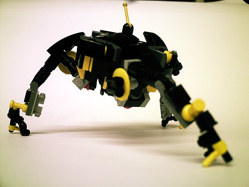walker01.jpg