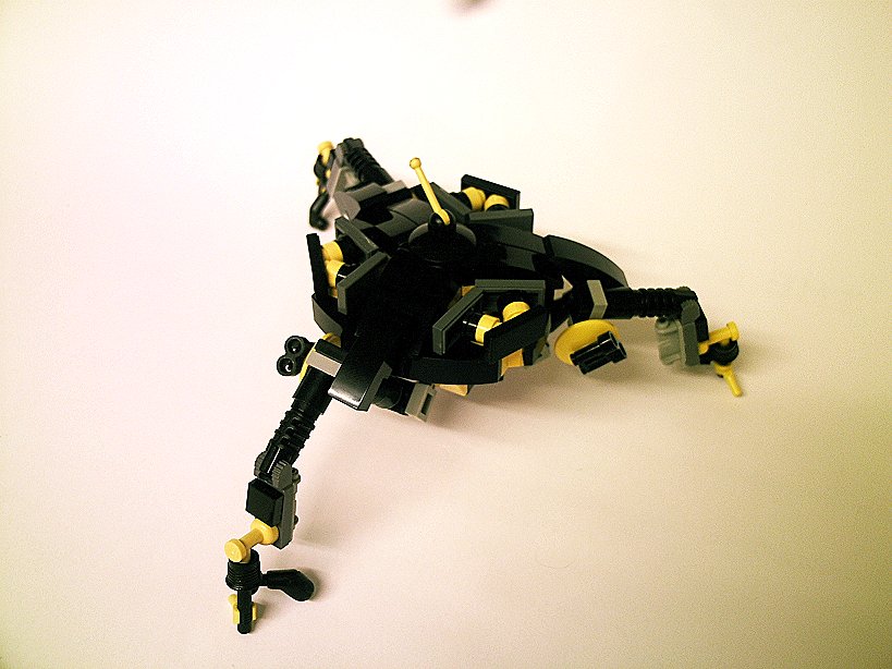 walker13.jpg
